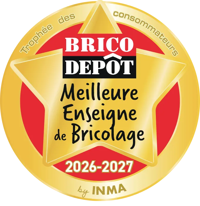 Badge Lauréat Brico Dépôt